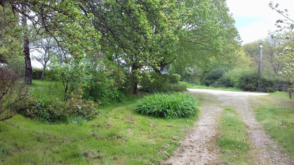 Saint-Amand-en-PuisayeGite Du Vieux Charme别墅 外观 照片