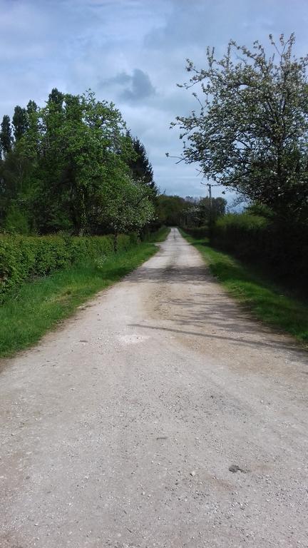 Saint-Amand-en-PuisayeGite Du Vieux Charme别墅 外观 照片